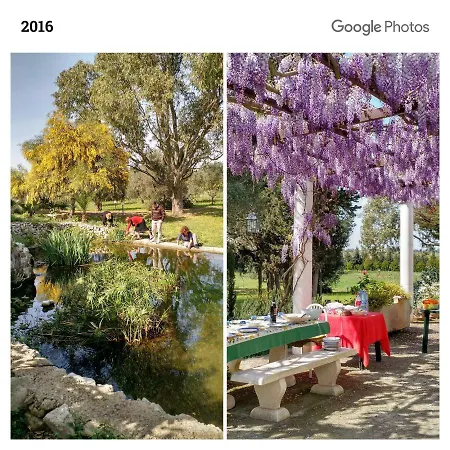 Masseria Cocciolicchio Ferienhaus *