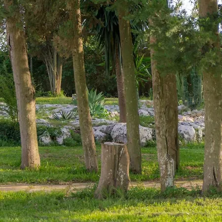Ferienhaus Masseria Cocciolicchio