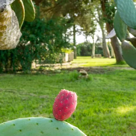 Ferienhaus Masseria Cocciolicchio Lecce