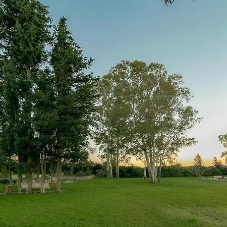 Masseria Cocciolicchio Ferienhaus *