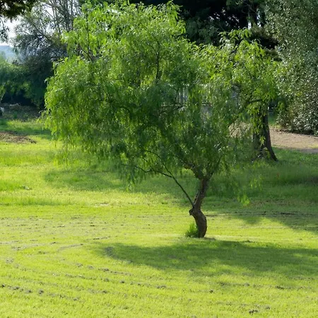 Ferienhaus Masseria Cocciolicchio